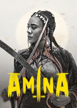 Amina FRENCH WEBRIP 1080p 2021