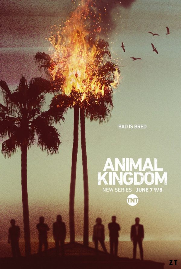 Animal Kingdom S01E10 FINAL FRENCH HDTV