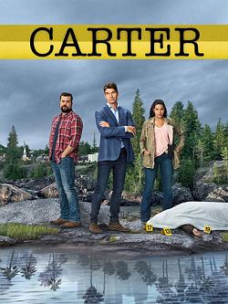 Carter S01E02 FRENCH HDTV