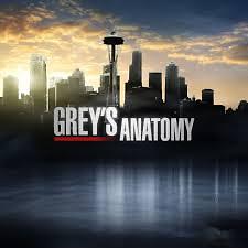 Grey's Anatomy S11E14 VOSTFR HDTV