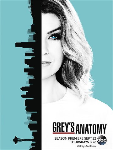 Grey's Anatomy S13E04 VOSTFR HDTV