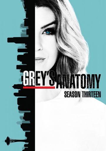 Grey's Anatomy S13E10 FRENCH HDTV