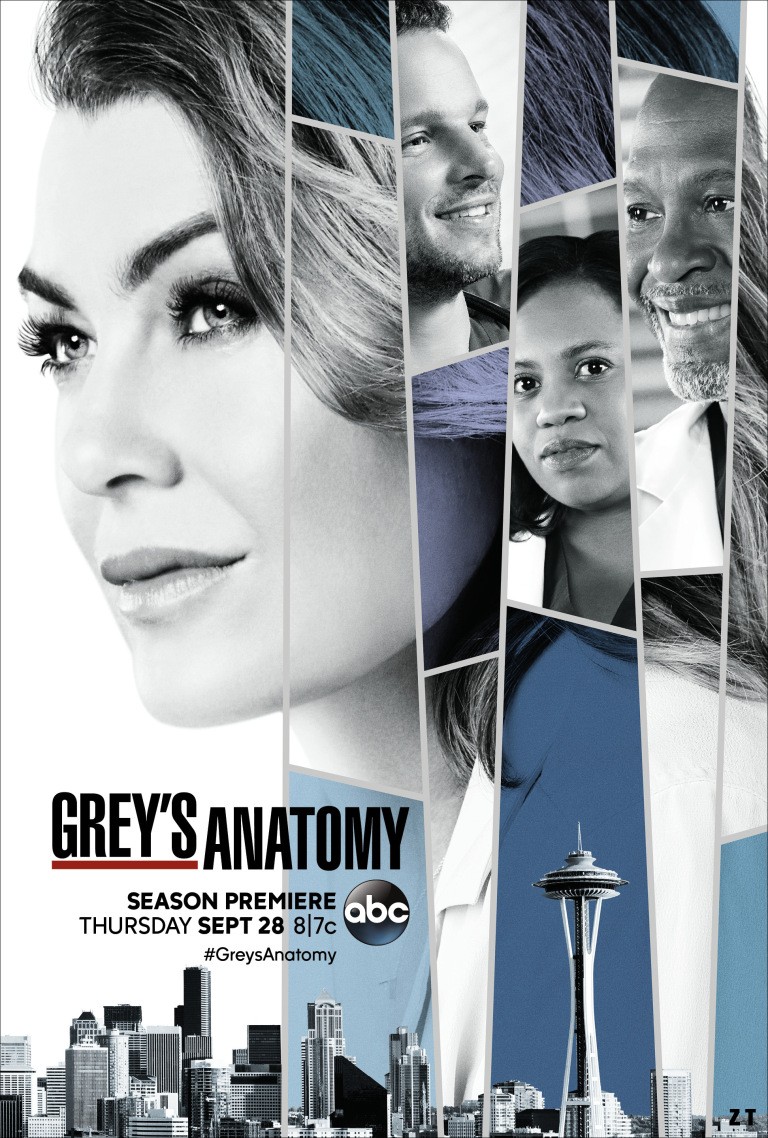 Grey's Anatomy S14E06 VOSTFR HDTV