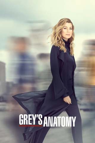 Grey's Anatomy S16E10 FRENCH HDTV