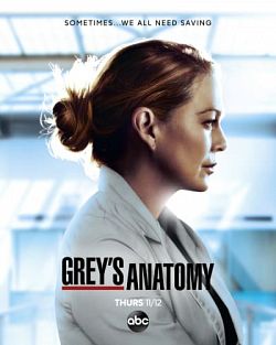 Grey's Anatomy S17E10 VOSTFR HDTV