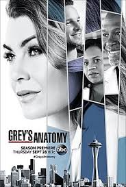 Grey's Anatomy Saison 14 FRENCH HDTV