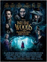 Into the Woods, Promenons-nous dans les bois FRENCH DVDRIP 2015