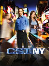 Les Experts : Manhattan S08E08 FRENCH HDTV