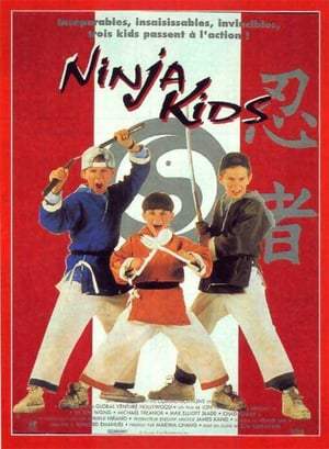 Ninja Kids (Integrale) FRENCH DVDRIP 1992-1998