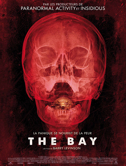 The Bay FRENCH DVDRIP 2013